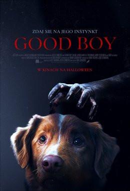 Gryfino Wydarzenie Film w kinie 32. Noc Grozy - GOOD BOY